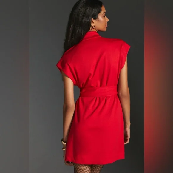 Anthropologie Maeve Tie Waist Mini Dress - Picture 11 of 13